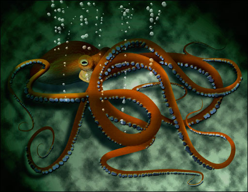 3D Octopus. 1 hour project 3D Octopus. 1 hour project